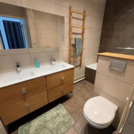 Appartement Hyper Centre Avec Parking Place Jean Moulin Grenoble